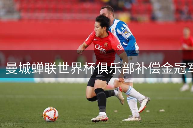 曼城蝉联世界杯俱乐部补偿金冠军，440万美元领跑全球